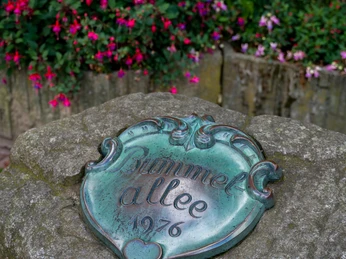 bummelallee-bad-harzburg