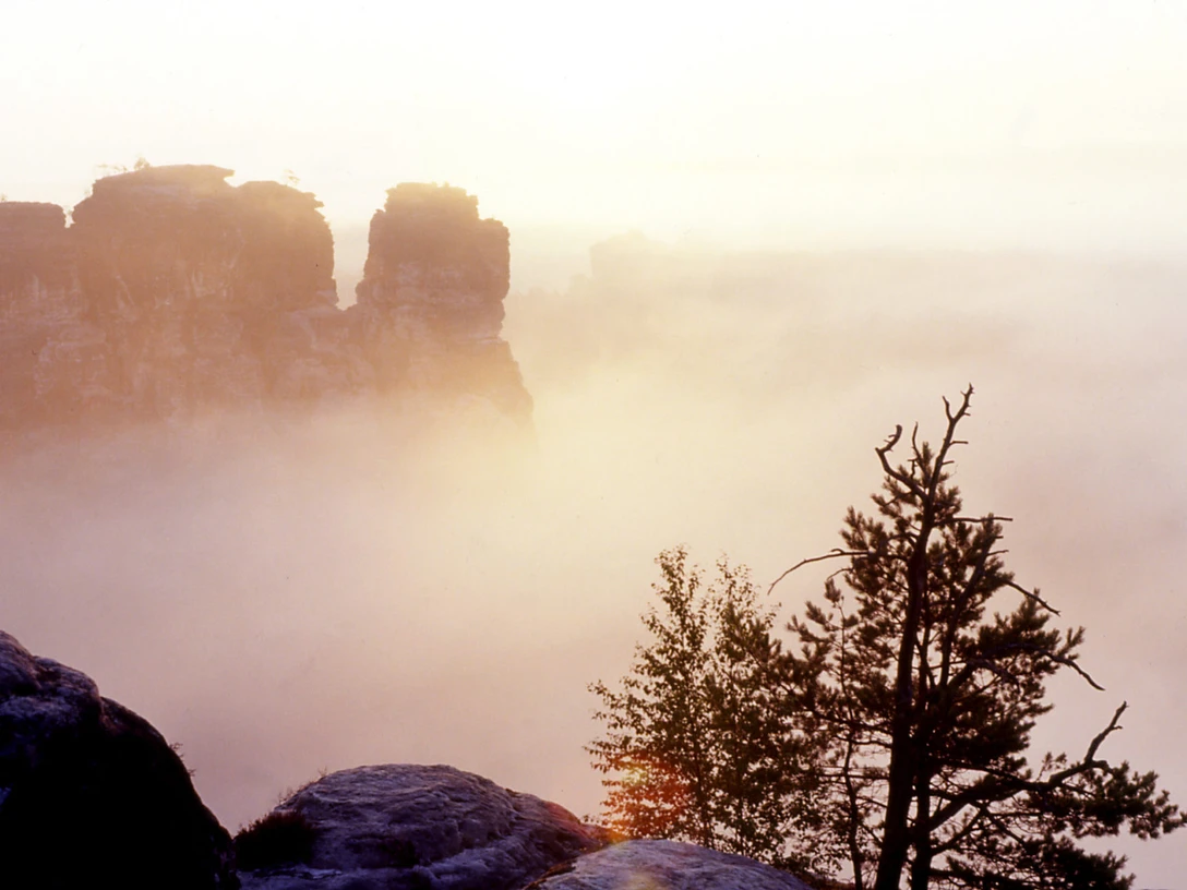 Bastei1.jpg Bastei im Nebel