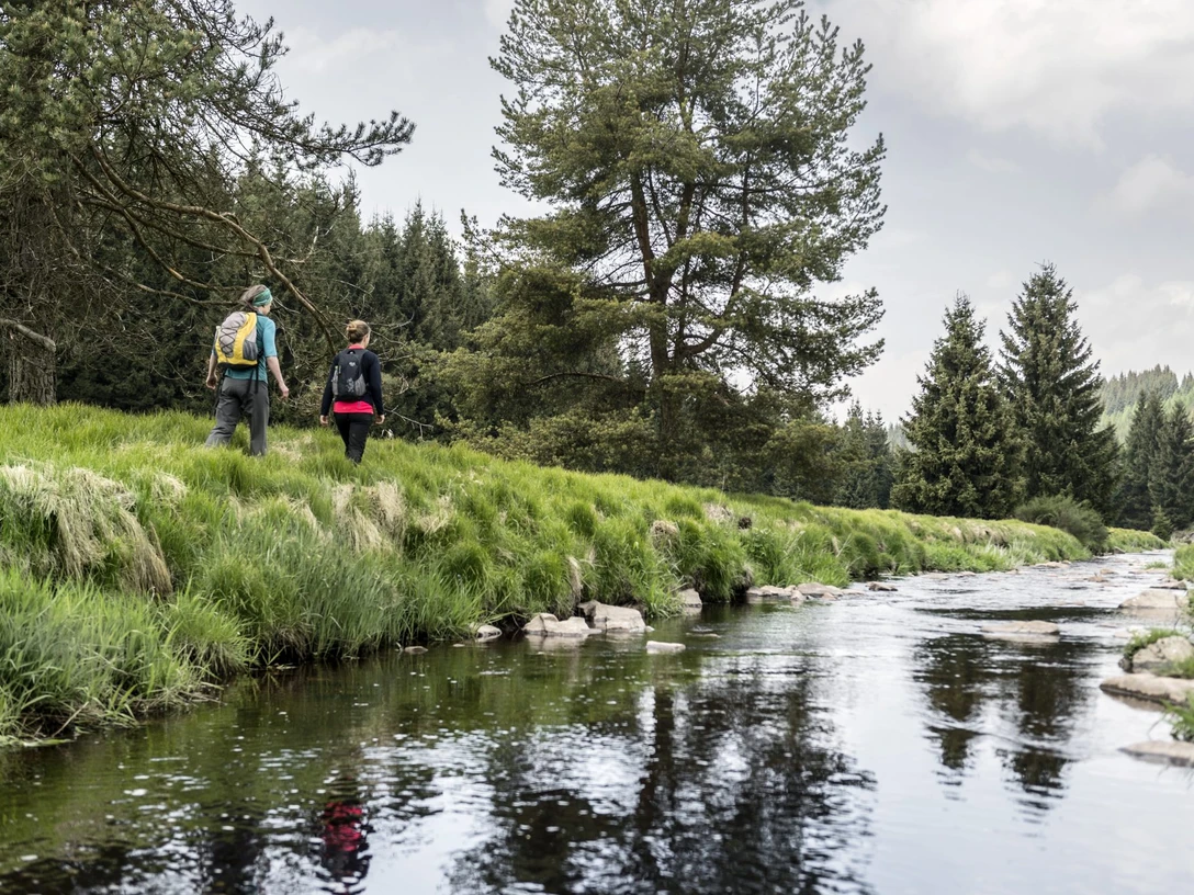 Wandern_im_Schwarzwassertal_Foto_Peter_von-Felbert.jpg Wandern im Schwarzwassertal