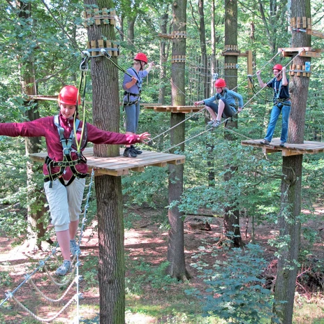 Auf Seilen durch den Wald | Foto: Kletterwald Königstein GmbH