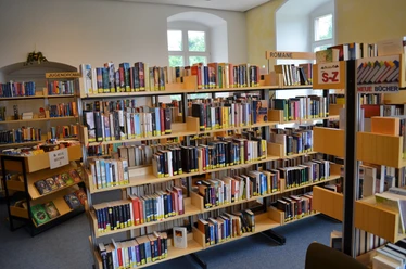 Bücherei Regale voller Bücher verschiedener Genres in einer lichtdurchfluteten Bücherei; Fenster im Hintergrund.