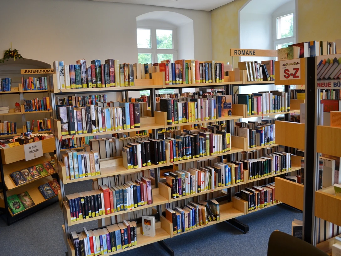 Bücherei Regale voller Bücher verschiedener Genres in einer lichtdurchfluteten Bücherei; Fenster im Hintergrund.