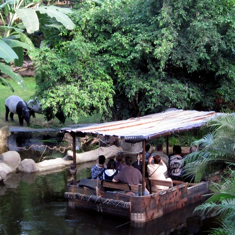 Tapire im Gehege – Gondwanaland im Zoo Leipzig | Foto: Zoo Leipzig