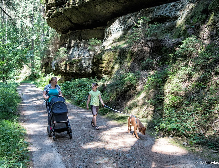 Mit dem Kinderwagen auf Wanderung | Foto: Florian Trykowksi