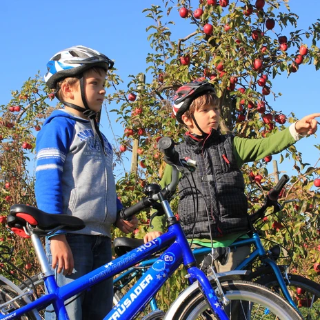 Auf der Obstland-Route gibt es viel zu entdecken. | Foto: Andreas SchmidtThere is a lot to discover on the Obstland route. | Photo: Andreas SchmidtNa trase Obstland je toho hodně k objevování. | Foto: Andreas SchmidtNa trasie Obstland jest wiele do odkrycia. | Zdjęcie: Andreas SchmidtEr valt veel te ontdekken op de Obstland route. | Foto: Andreas SchmidtC'è molto da scoprire sul percorso dell'Obstland. | Foto: Andreas Schmidt