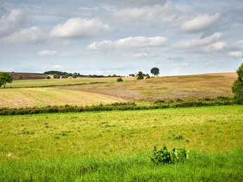 Aussicht in Eitzum Aussicht in EitzumView in EitzumUdsigt i EitzumZicht in Eitzum