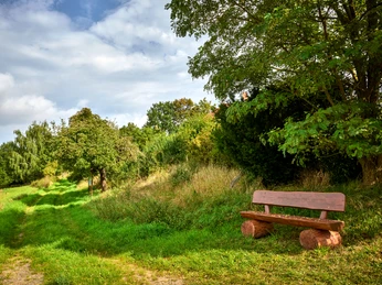 Bank mit Aussicht in Eitzum Bank mit Aussicht in EitzumBench with a view in EitzumBænk med udsigt i EitzumBank met uitzicht in Eitzum