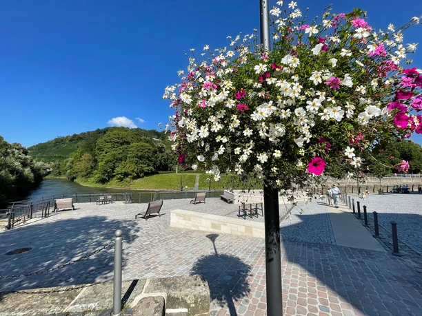 Wanfrieder Schlagd, Blumenampel Wanfrieder Schlagd, Blumenampel