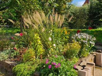 Interkultureller Garten Insel Tanzwerder Interkultureller Garten Insel Tanzwerder