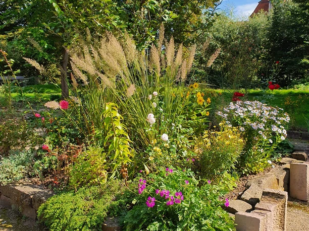 Interkultureller Garten Insel Tanzwerder Interkultureller Garten Insel Tanzwerder