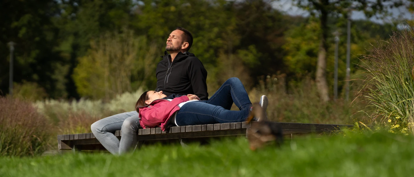 Grüne Oase: Der Waldkurpark in Bad Iburg