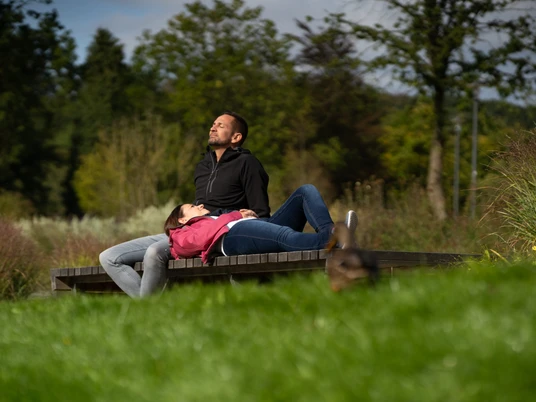 Grüne Oase: Der Waldkurpark in Bad Iburg