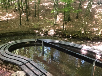 Das Tretbecken Alt Schieder liegt im Wald, umgeben von Laubbäumen und hat eine steinerne Umrandung.