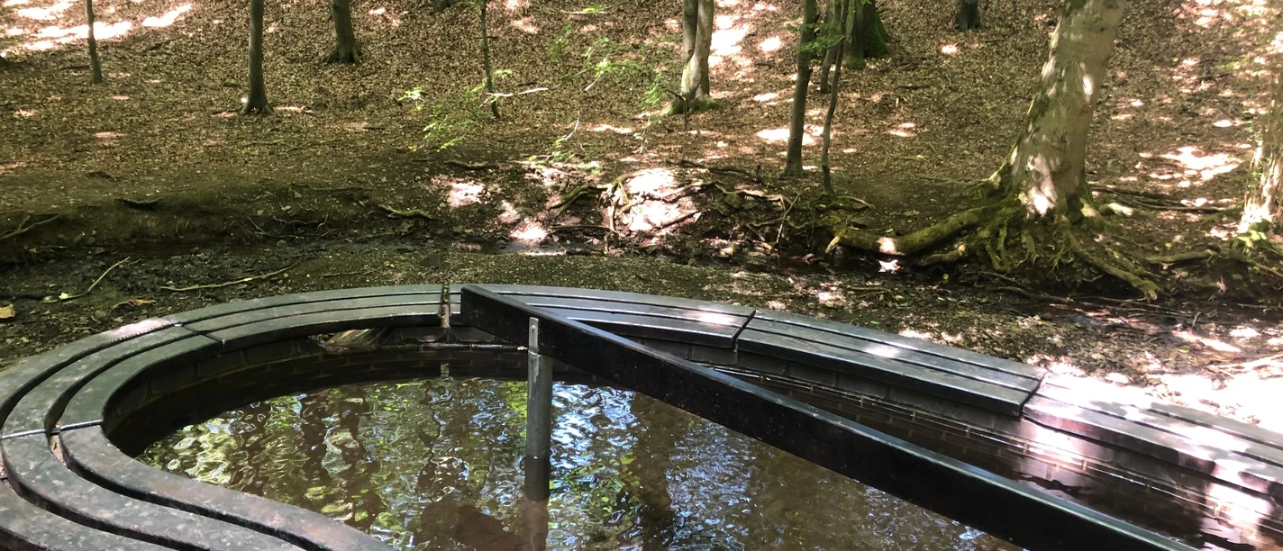 Das Tretbecken Alt Schieder liegt im Wald, umgeben von Laubbäumen und hat eine steinerne Umrandung.