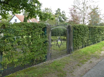 Metalltor mit Davidstern führt zu einem von Bäumen umgebenen jüdischen Friedhof in ländlicher Umgebung.