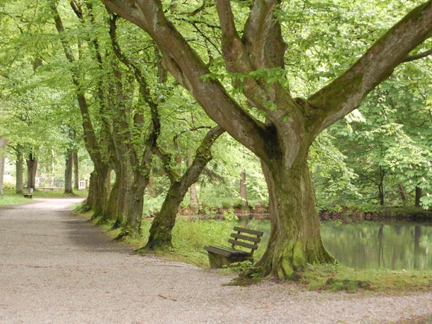 Steinway Park in Seesen