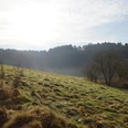 wandern in Wermelskirchen Wiesenlandschaft in sanftem Morgenlicht mit Hügeln und Bäumen im Hintergrund unter leicht bewölktem Himmel.