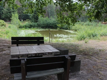 Moorcamp Ein rustikaler Holztisch mit Bänken steht vor einem von Bäumen gesäumten Teich mit Seerosen.