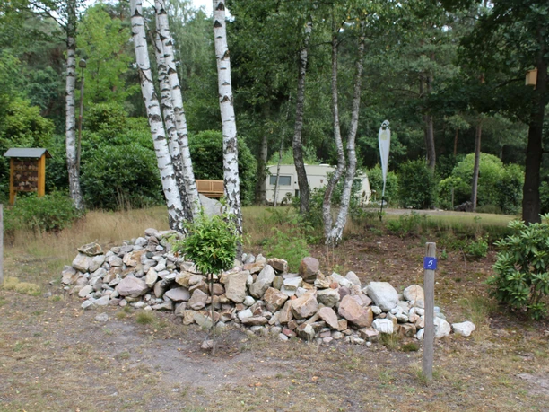 Eine Wohnwagenanlage in einem bewaldeten Gebiet mit Birken, Kiefern und einem Steinhaufen im Vordergrund.