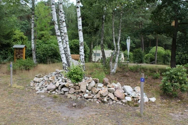 Moorcamp Eine Wohnwagenanlage in einem bewaldeten Gebiet mit Birken, Kiefern und einem Steinhaufen im Vordergrund.