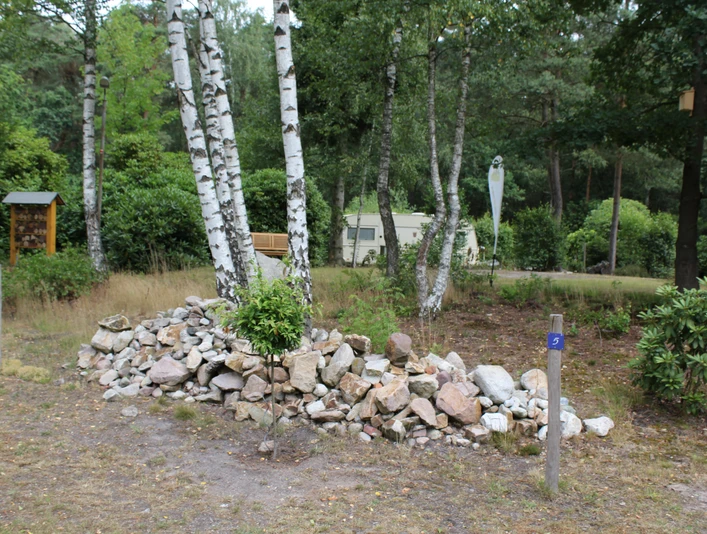 Moorcamp Eine Wohnwagenanlage in einem bewaldeten Gebiet mit Birken, Kiefern und einem Steinhaufen im Vordergrund.
