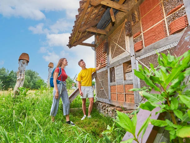 Aan de voet van de Iburg zorgen de Tegelwiese en het Kneipp-avonturenpark tot aan de Charlottensee voor beweging en verfrissing. Tijdens het kruidenseizoen kunnen tientallen gezonde geneeskrachtige kruiden hier en op het voormalige terrein van de State Garden Show op het boomkroonpad worden bewonderd. Bad Iburg is een Kneipp kuuroord en richt zich op de leer van de gezondheidspastor Sebastian Kneipp, de "vijf pijlers" van een gezond leven: water, voeding, beweging, balans en kruiden - vandaag de dag op een moderne manier geĂŻnterpreteerd.