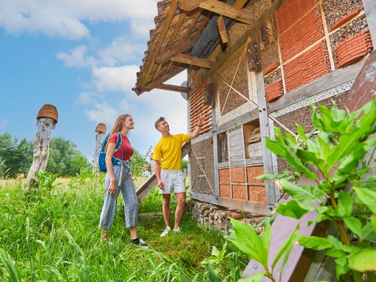 Insektenhotel auf der Tegelwiese Am Fuße der Iburg sorgen die Tegelwiese und der Kneipp-Erlebnispark bis zum Charlottensee für Bewegung und Erfrischung. Während der Kräutersaison sind hier, sowie auf dem ehemaligen Gelände der Landesgartenschau am Baumwipfelpfad Dutzende von gesunden Heilkräutern zu bestaunen. Bad Iburg ist Kneipp-Kurort und setzt auf die Lehren des Gesundheitspfarrers Sebastian Kneipp, die „Fünf Säulen“ des gesunden Lebens: Wasser, Ernährung, Bewegung, Balance und Kräuter – heute modern interpretiert.At the foot of the Iburg, the Tegelwiese and the Kneipp adventure park up to Charlottensee provide exercise and refreshment. During the herb season, dozens of healthy medicinal herbs can be admired here and on the former grounds of the State Garden Show on the treetop path. Bad Iburg is a Kneipp health resort and relies on the teachings of the health pastor Sebastian Kneipp, the "five pillars" of a healthy life: water, nutrition, exercise, balance and herbs - interpreted in a modern way today.Ved foden af Iburg sørger Tegelwiese og Kneipp-oplevelsesparken op til Charlottensee for motion og forfriskning. I urtesæsonen kan man beundre snesevis af sunde lægeurter her og på det tidligere område for statens haveudstilling på trætopstien. Bad Iburg er et Kneipp-kursted og fokuserer på sundhedspastoren Sebastian Kneipps lære, de "fem søjler" i et sundt liv: vand, ernæring, motion, balance og urter - fortolket på en moderne måde i dag.Aan de voet van de Iburg zorgen de Tegelwiese en het Kneipp-avonturenpark tot aan de Charlottensee voor beweging en verfrissing. Tijdens het kruidenseizoen kunnen tientallen gezonde geneeskrachtige kruiden hier en op het voormalige terrein van de State Garden Show op het boomkroonpad worden bewonderd. Bad Iburg is een Kneipp kuuroord en richt zich op de leer van de gezondheidspastor Sebastian Kneipp, de "vijf pijlers" van een gezond leven: water, voeding, beweging, balans en kruiden - vandaag de dag op een moderne manier geïnterpreteerd.