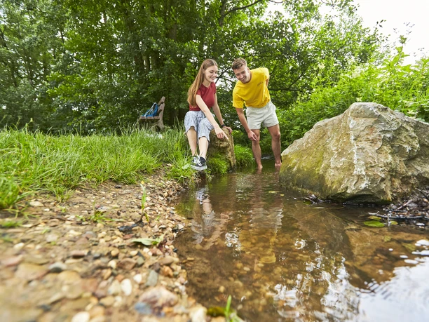 Aan de voet van de Iburg zorgen de Tegelwiese en het Kneipp-avonturenpark tot aan de Charlottensee voor beweging en verfrissing. Tijdens het kruidenseizoen kunnen tientallen gezonde geneeskrachtige kruiden hier en op het voormalige terrein van de State Garden Show op het boomkroonpad worden bewonderd. Bad Iburg is een Kneipp kuuroord en richt zich op de leer van de gezondheidspastor Sebastian Kneipp, de "vijf pijlers" van een gezond leven: water, voeding, beweging, balans en kruiden - vandaag de dag op een moderne manier geĂŻnterpreteerd.