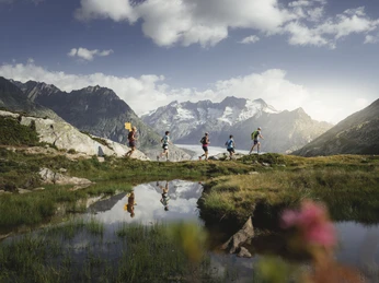 Trailrunning in der Aletsch Arena Trailrunning in der Aletsch Arena