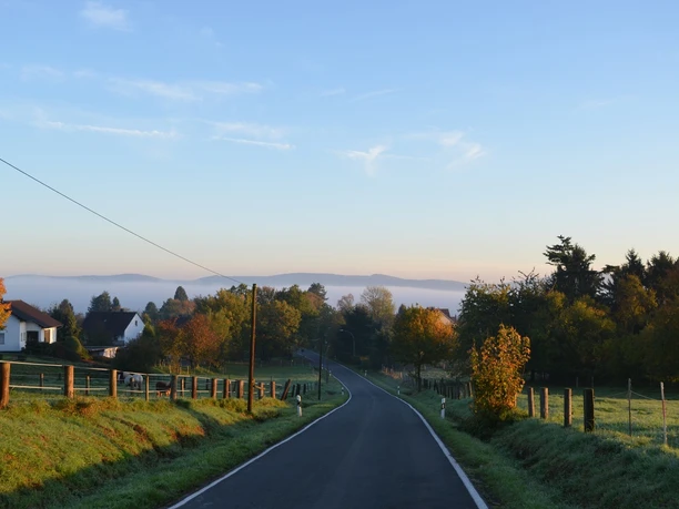 Kirchberg - Blick hinunter Richtung Varenholz-Schloss Eine ruhige Landstraße führt hinab, umgeben von Wiesen, Bäumen und Fernblick.