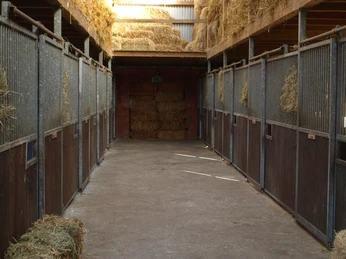 OLYMPUS DIGITAL CAMERA OLYMPUS DIGITAL CAMERA