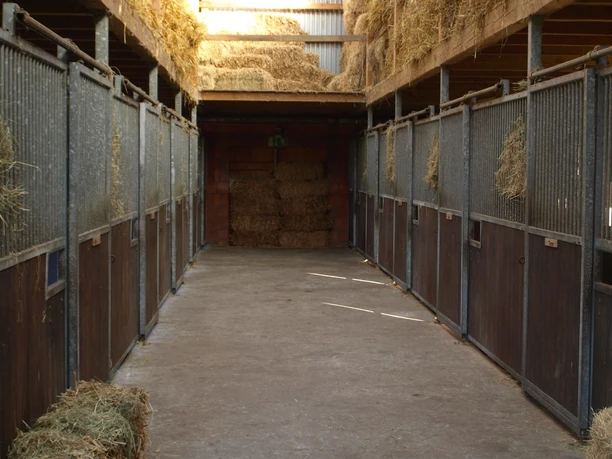 OLYMPUS DIGITAL CAMERA OLYMPUS DIGITAL CAMERA