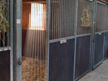 OLYMPUS DIGITAL CAMERA OLYMPUS DIGITAL CAMERA