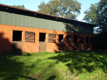 OLYMPUS DIGITAL CAMERA OLYMPUS DIGITAL CAMERA