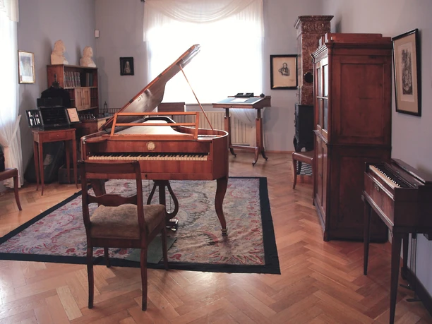 Schumann Hausm, Zwickau Ein Raum im Schumann Haus Zwickau mit einem Flügel, antiken Möbeln und Holzböden.