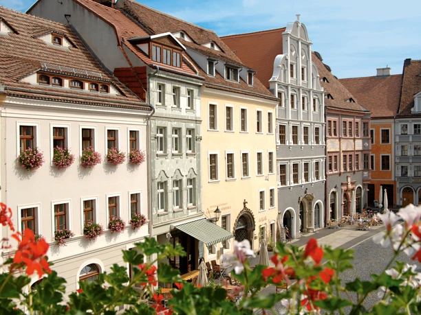 Historische Gebäude mit bunten Fassaden und blühenden Blumen im Vordergrund.