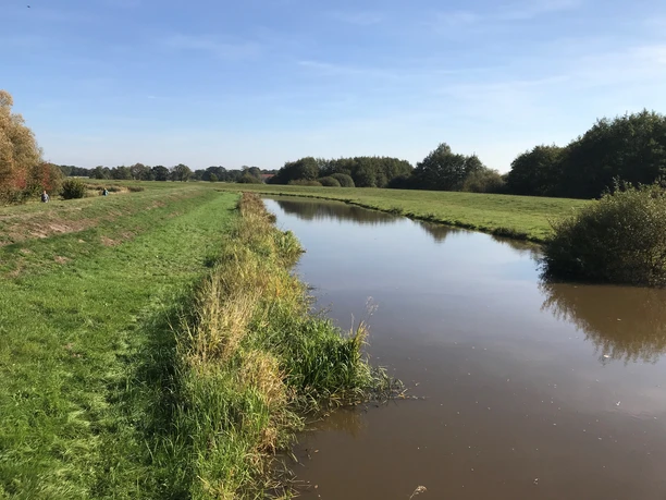 An der Großen Norderbäke Eine ruhige Bäke schlängelt sich durch eine grüne, offene Landschaft unter blauem Himmel.