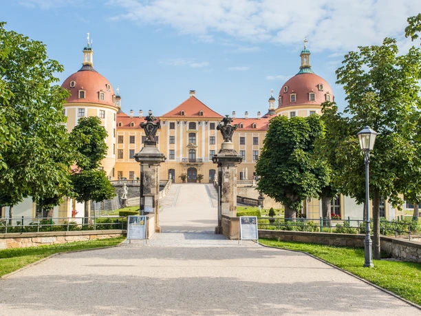 Schloss Moritzburg in Sachsen, umgeben von Wasser und üppiger Vegetation, harmonische Architektur.