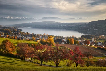 Hallwilersee
