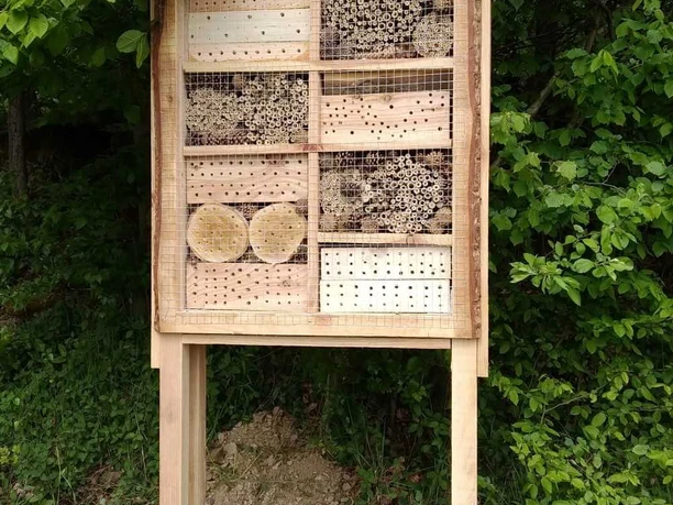 Insektenhotel aus Holz mit mehreren Fächern, gefüllt mit Röhren und Löchern, vor grüner Waldkulisse.