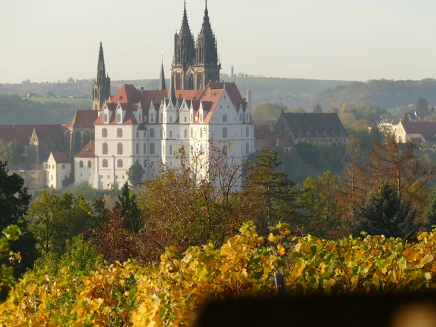 Blick von Schloss Proschwitz auf Meißen, Radebeul Blick auf die Albrechtsburg in Meißen über herbstliche Weinreben, bei klarem Himmel.