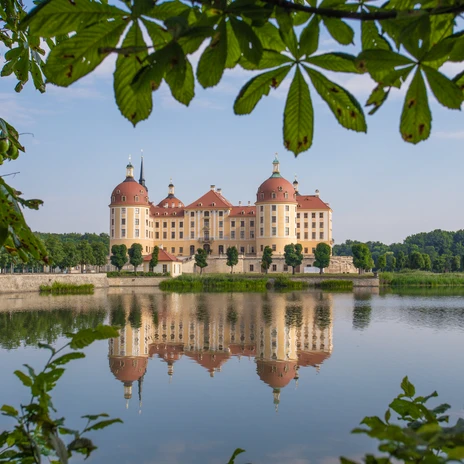 Schloss Moritzburg