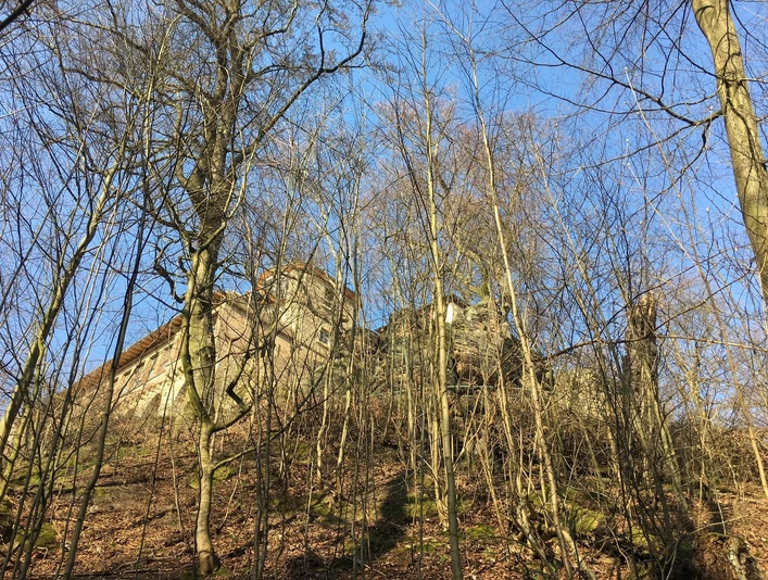 Waldansicht Jägerhaus Sehlde.jpg