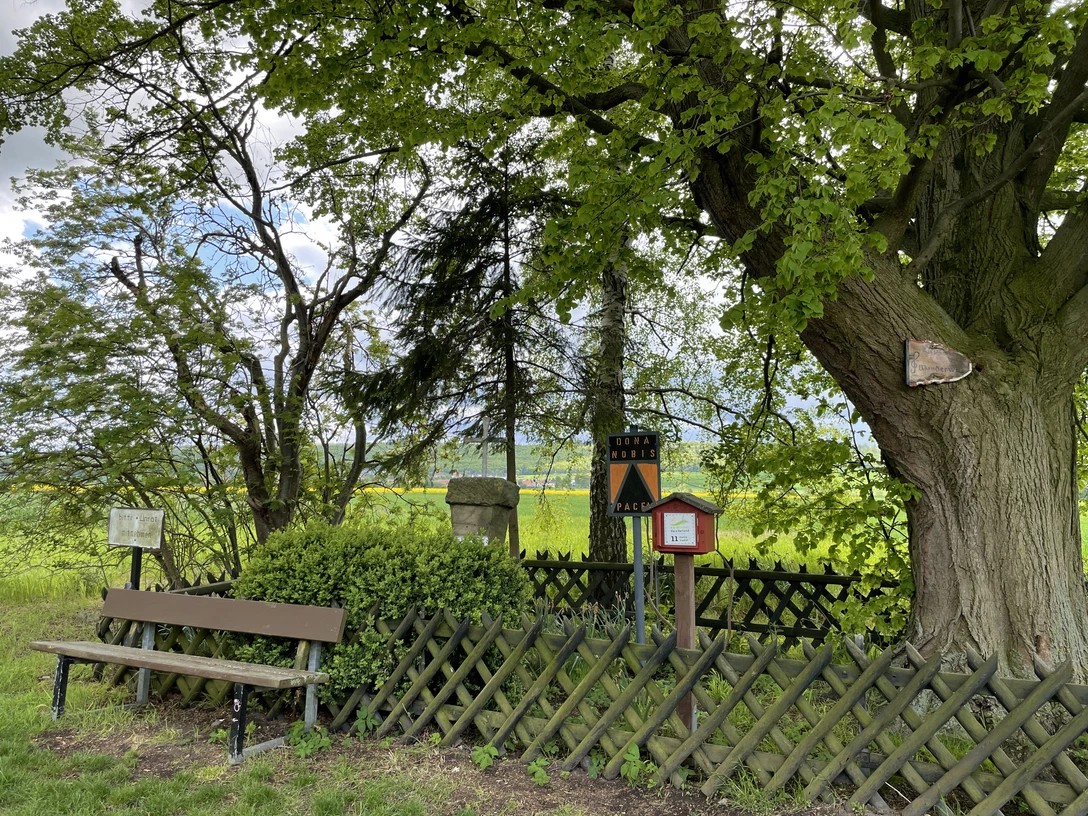 Stempelstation 11 Cholera Friedhof.jpg
