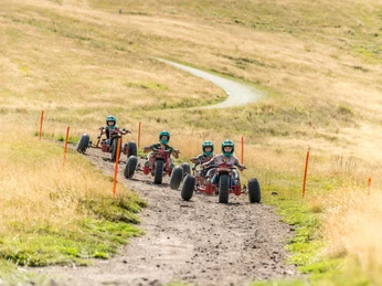 Downhill Cart Mehliskopf Abfahrt Downhill Cart Mehliskopf Abfahrt