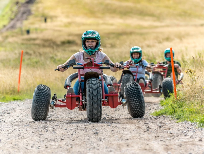 Downhill-Cart Mehliskopf Downhill-Cart Mehliskopf