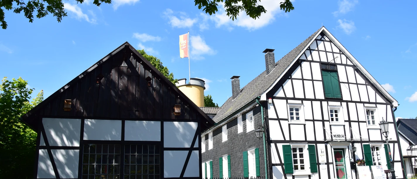 DSC_0391.JPG Fachwerkhäuser mit weißen Wänden und dunklen Balken unter blauem Himmel und grünem Laub.