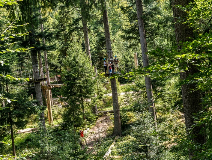 Klettergarten Mehliskopf Flying Fox Klettergarten Mehliskopf Flying Fox