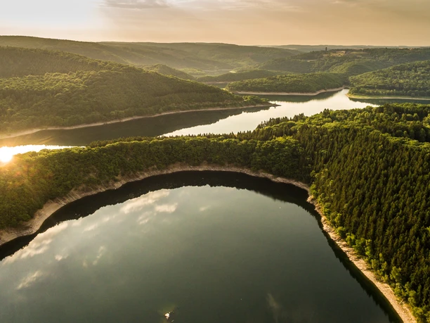 Wildnis von morgen: Nationalpark Eifel