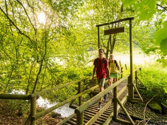 Bach-Pfad im NaturWanderPark delux, Ernst-Brücke über den Alfbach